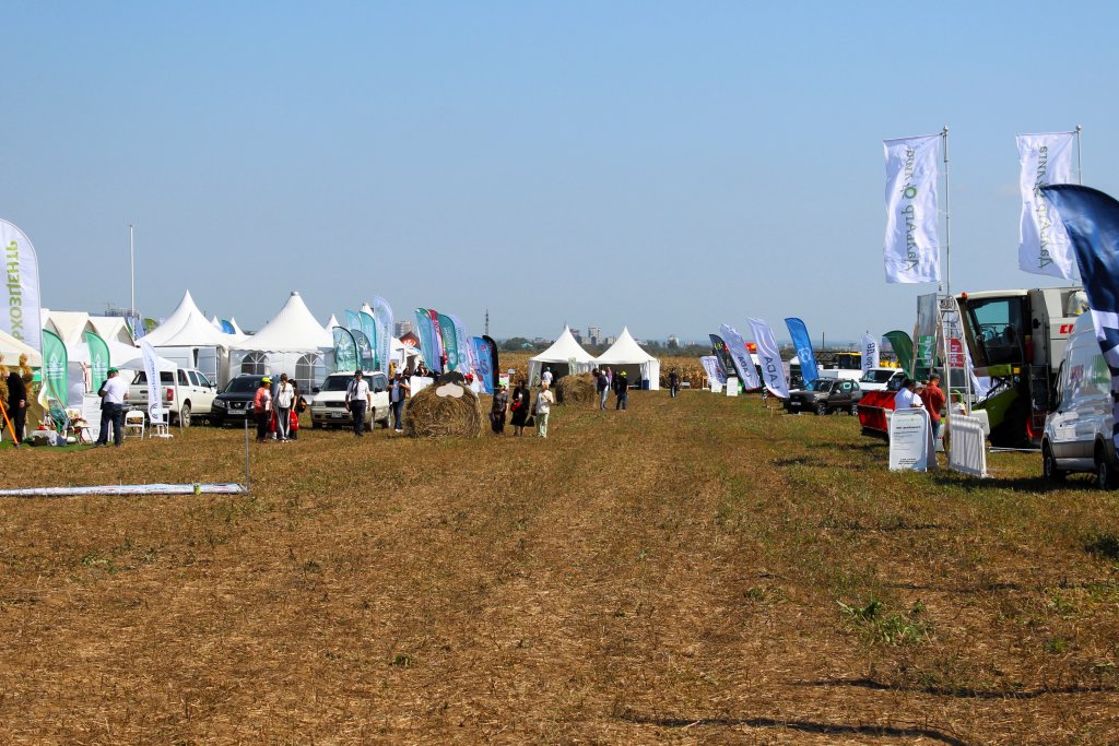 1IMG_7525.jpg